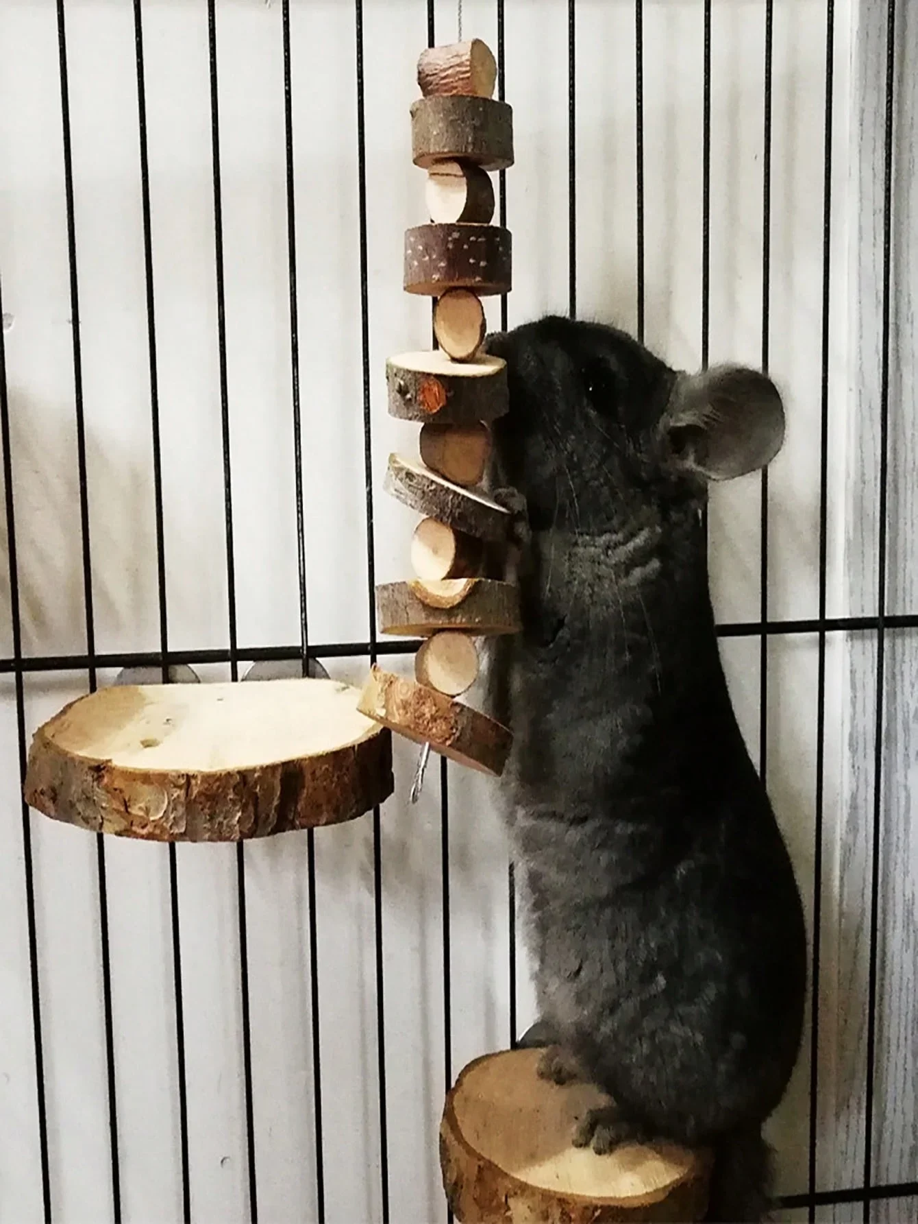 Hamster Rabbit Chew Toy Natura - Woodworking Rabbet 评论和价格