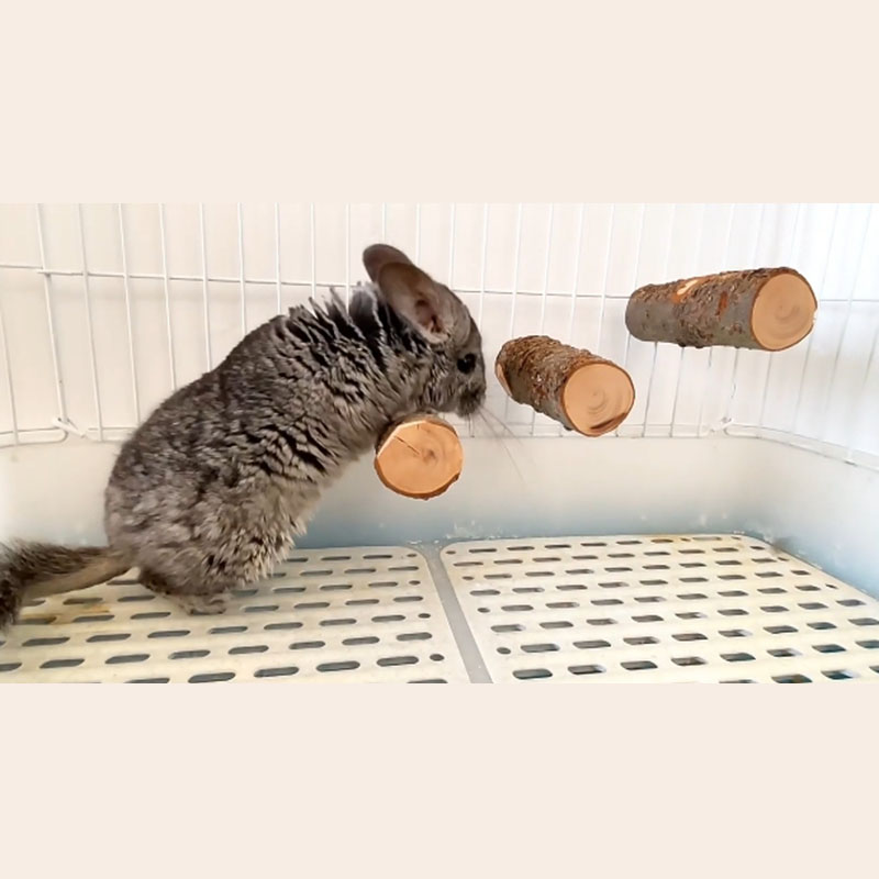 Pet Hamster Toy Natural Apple  - Woodworking Rabbet 评论和价格